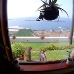 Necho Willa La Orotava