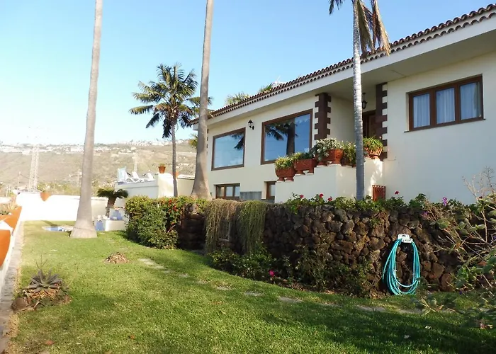 Necho فيلة لا أوروتافا