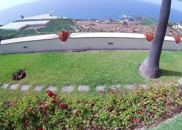 Necho فيلة لا أوروتافا